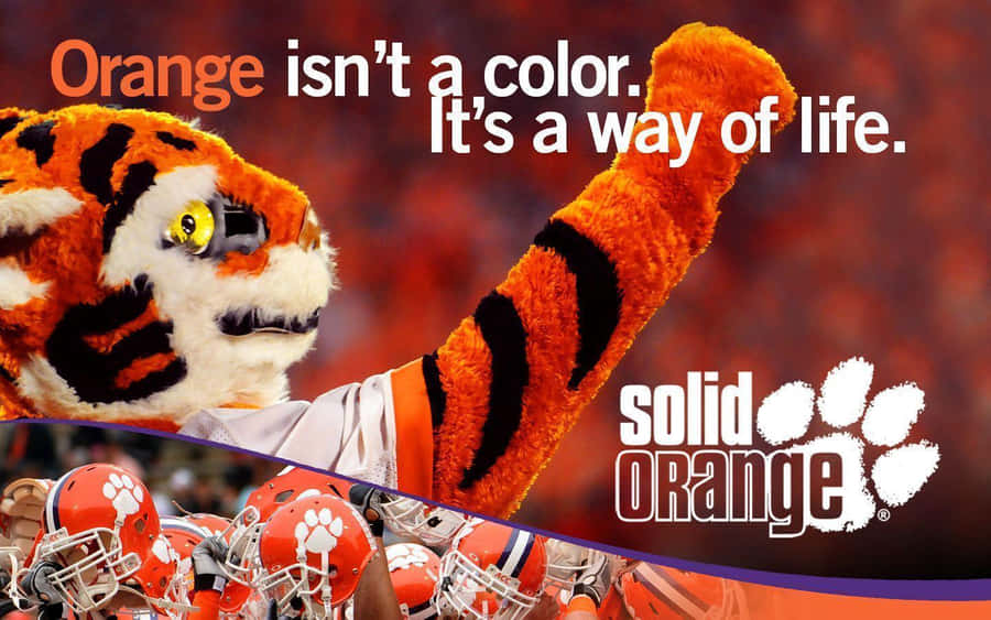 Clemson Tigers Football Team Mascot Wallpaper