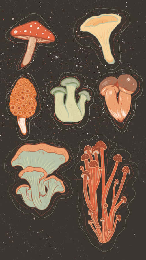 Connect With Friends On Mushroom Phone! Wallpaper