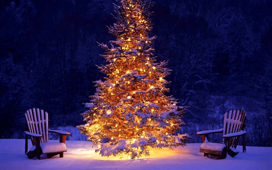 Cool Christmas Eve With Tree And Chairs Wallpaper