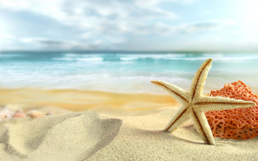 Cool Summer Starfish On The Sand Wallpaper