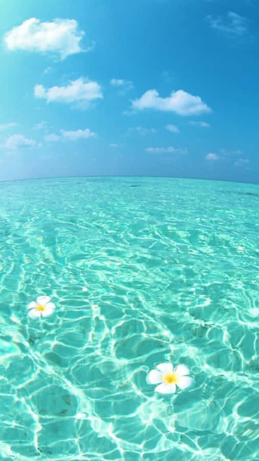 Cool Summer Turquoise Waters Of The Sea Wallpaper