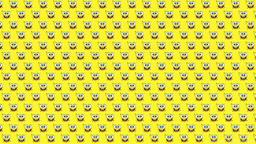 Create Breathtaking Photos With A Vsco Laptop Wallpaper