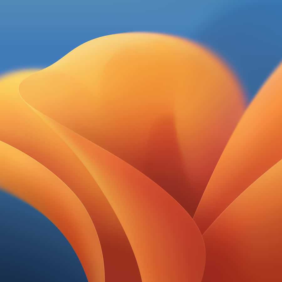 Creative And Uplifting Orange And Teal Abstract Art Wallpaper
