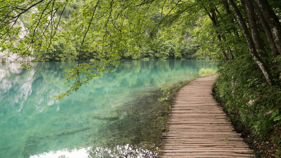 Crotia Peaceful Pathway Wallpaper