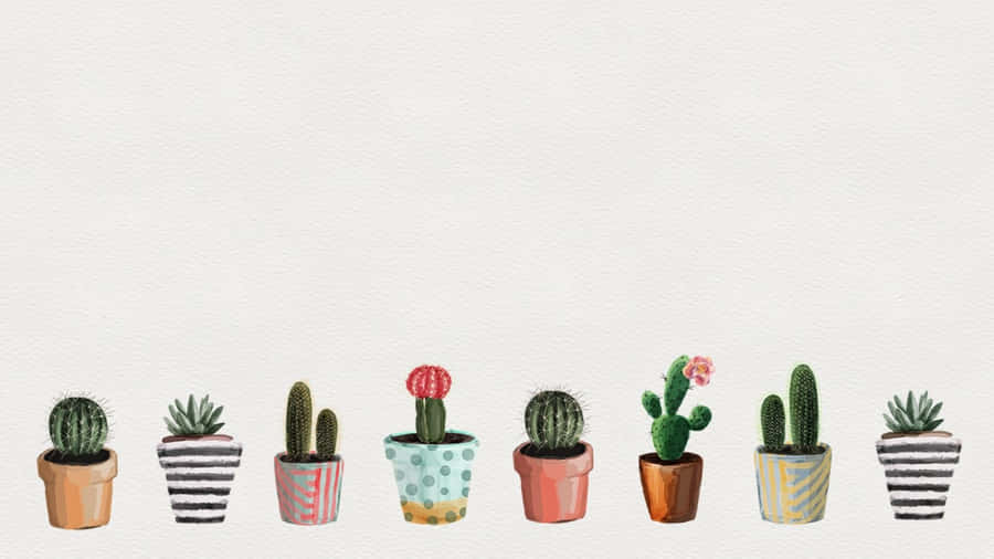 Cute Cactus Little Pots Wallpaper