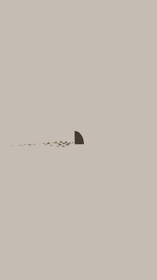 Cute Grey Shark Fin Wallpaper