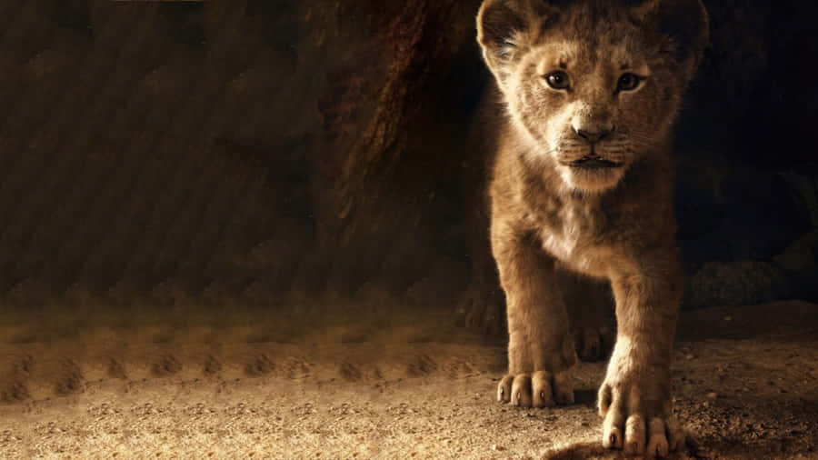 Cute Little Lion King Wallpaper