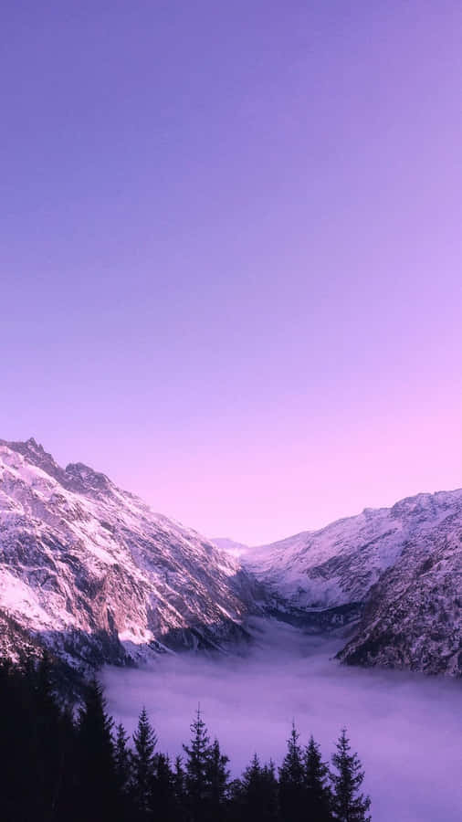 Cute Purple Winter Sky Phone Wallpaper