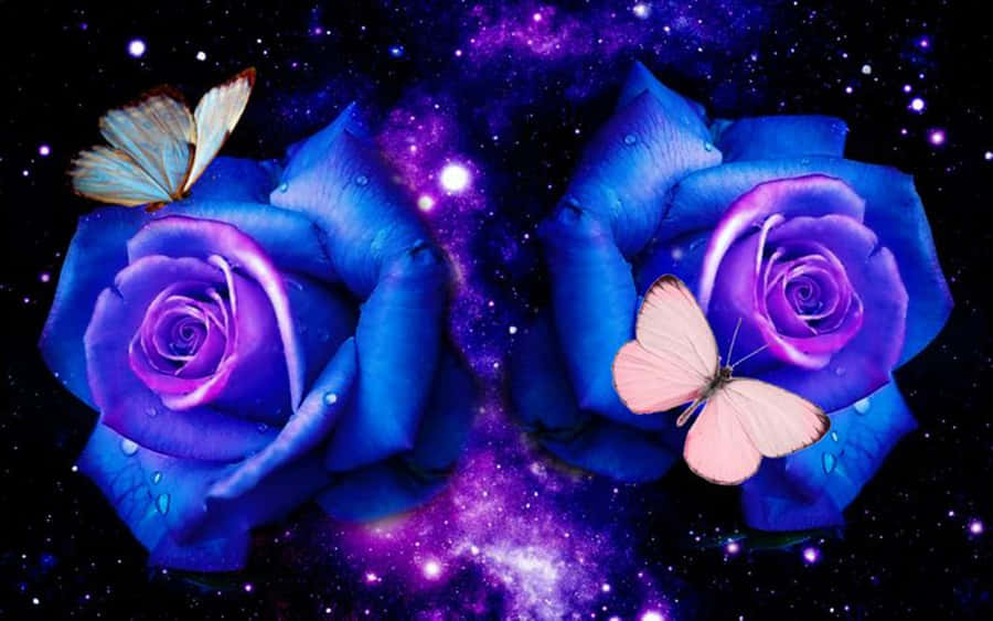 Dark Blue Rose Abstract 2560 X 1600 Wallpaper