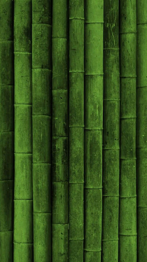 Dark Green Iphone Bamboo Trees Wallpaper