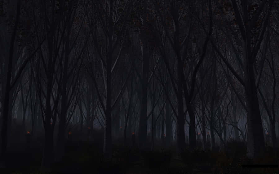 Dark Scary Haunted Forest Wallpaper