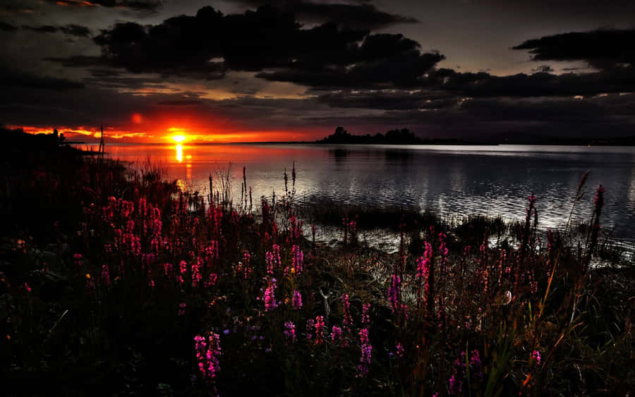 Dark Spring Sunset Riverbank Shrubs Wallpaper