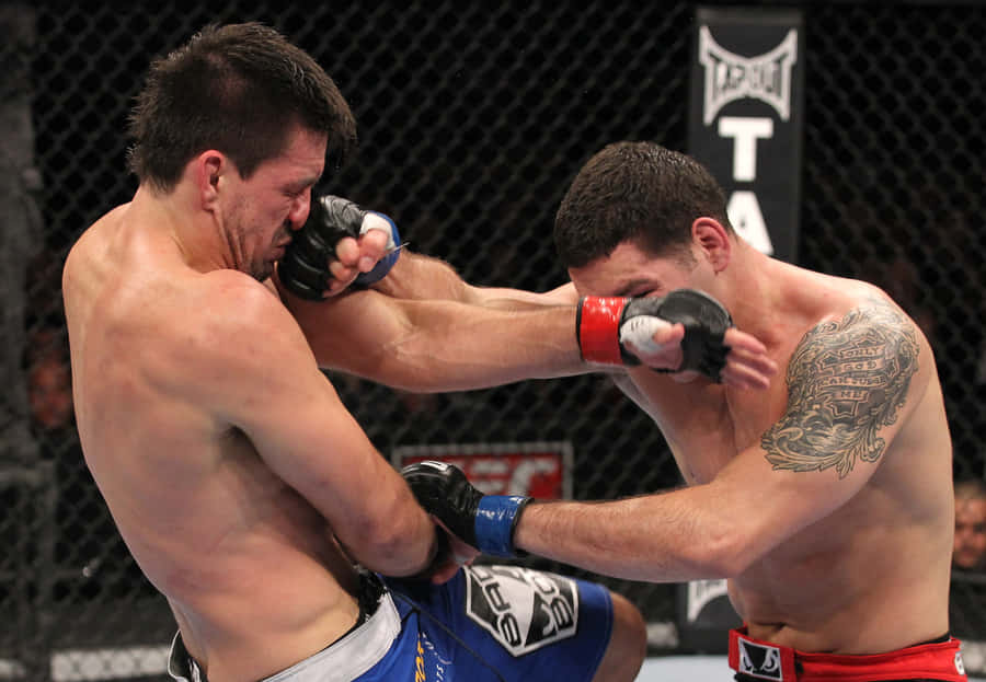 Demian Maia Vs Chris Weidman Wallpaper