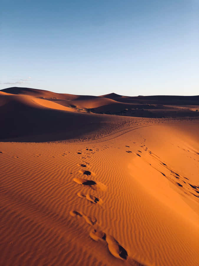 Desert Roads And Limitless Horizons Are Perfect For Getting Lost And Finding Yourself. Wallpaper