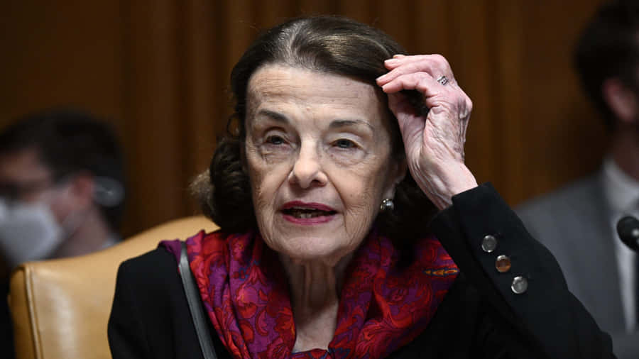 Dianne Feinstein Fixing Her Hair Wallpaper