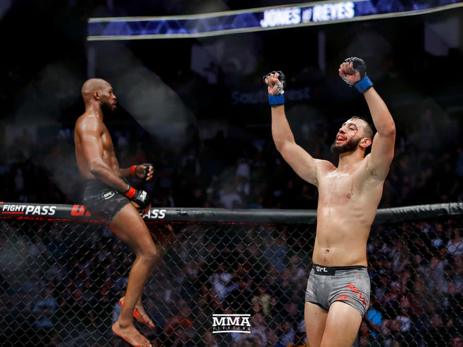 Dominick Reyes Preparing For A Fight Wallpaper