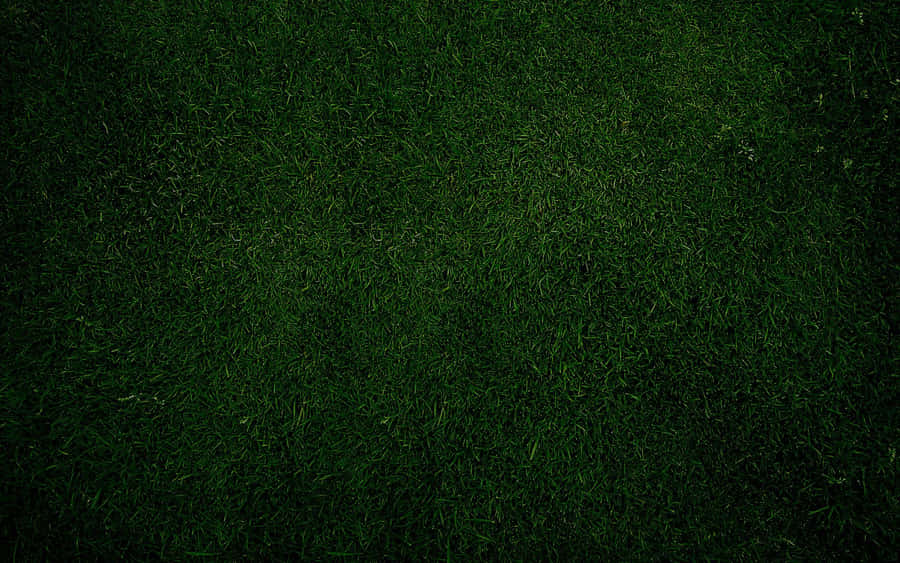 Dramatic Dark Green Grunge Wallpaper Wallpaper