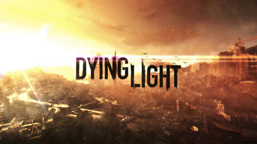 Dying Light 4k 4000 X 2250 Wallpaper
