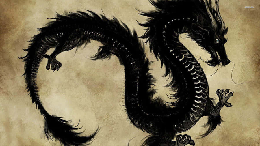 East Asian Black Dragon Wallpaper