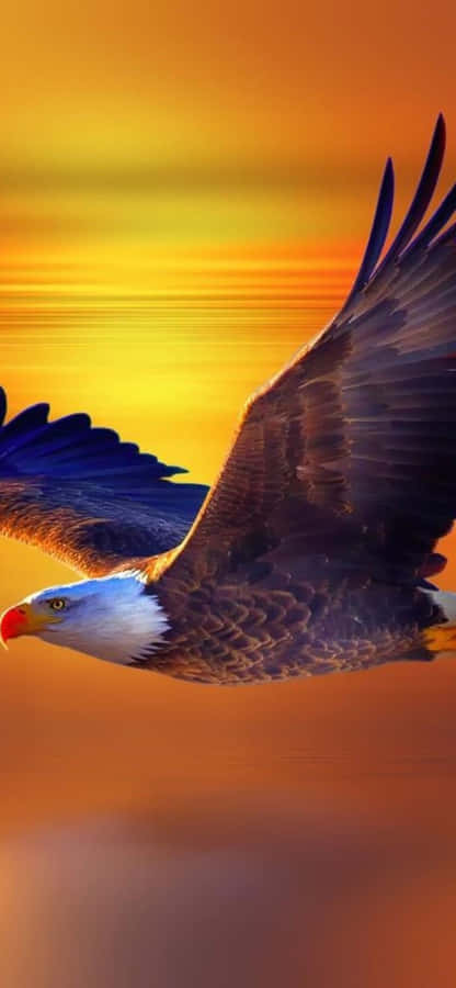 Embrace The Latest And Greatest Technology With An Iphone Designed Like An Eagle Wallpaper