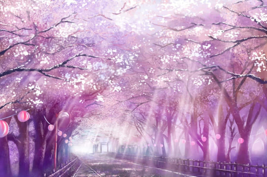 Enchanted Cherry Blossom Path Anime Scene Wallpaper