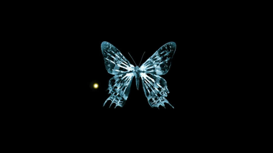 Enchanting Dark Butterfly On A Blossoming Flower Wallpaper
