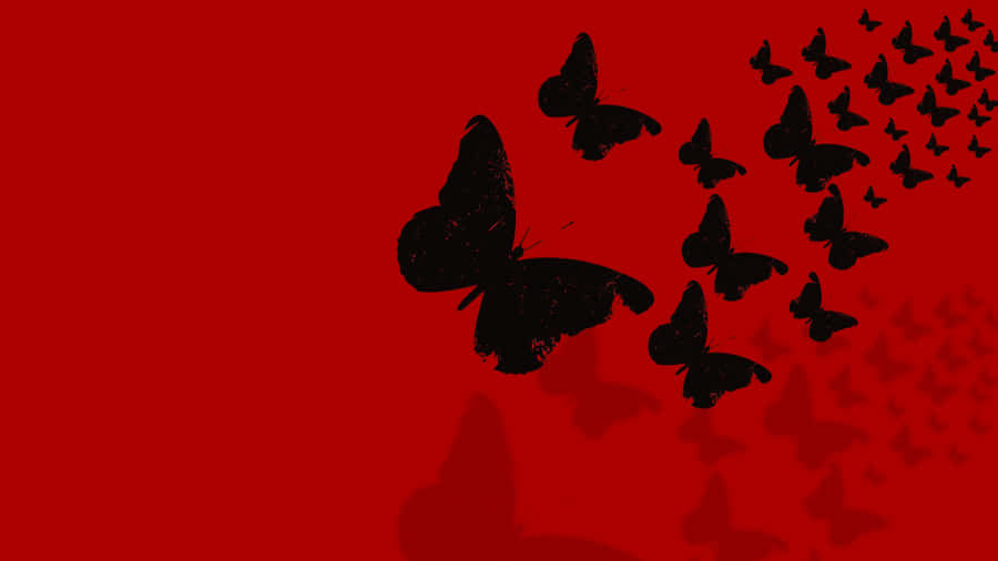 Enigmatic Dark Butterfly On A Mysterious Background Wallpaper