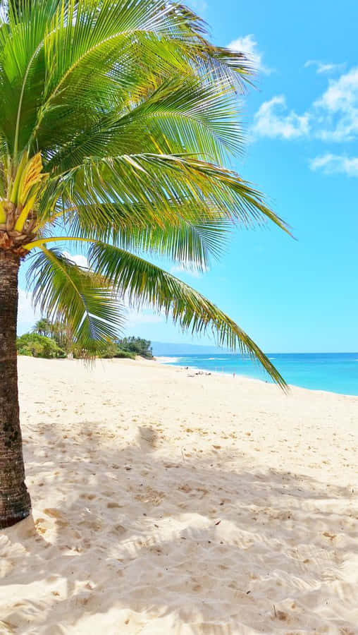 Enjoy A Breathtaking View Of Hawaii With This Amazing Iphone Wallpaper