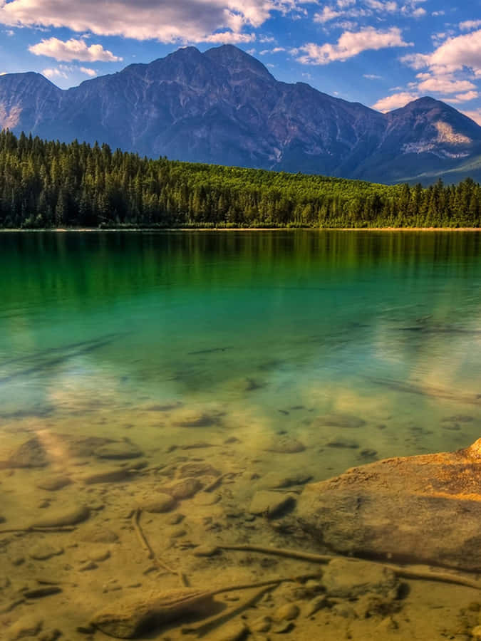 Enjoy Beautiful Nature On Your Ipad Wallpaper