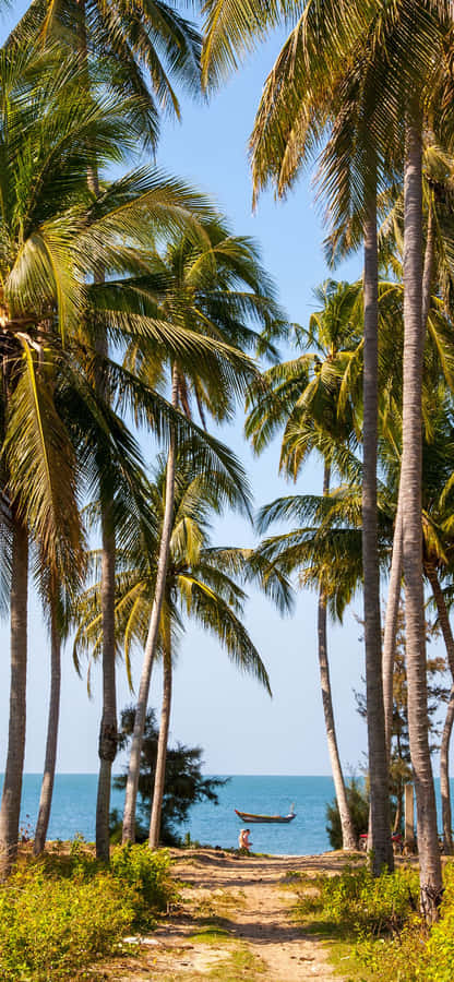 Enjoy The Beauty Of A Tropical Beach In The Palm Of Your Hand Wallpaper
