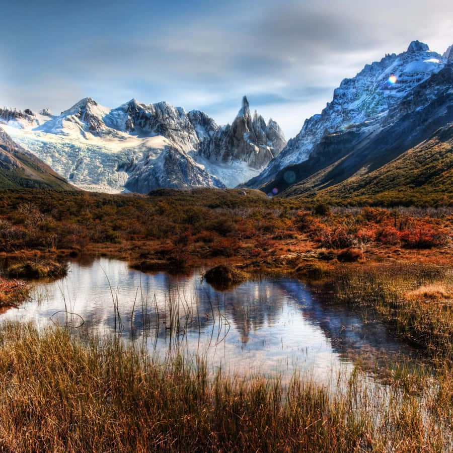 Enjoy The Beauty Of Nature While Connecting With The World Online. Wallpaper