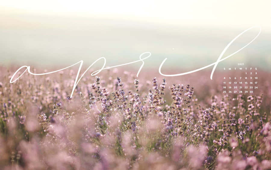 Enjoy The Beauty Of The Season With This Gorgeous Spring Aesthetic Desktop Wallpaper! Wallpaper