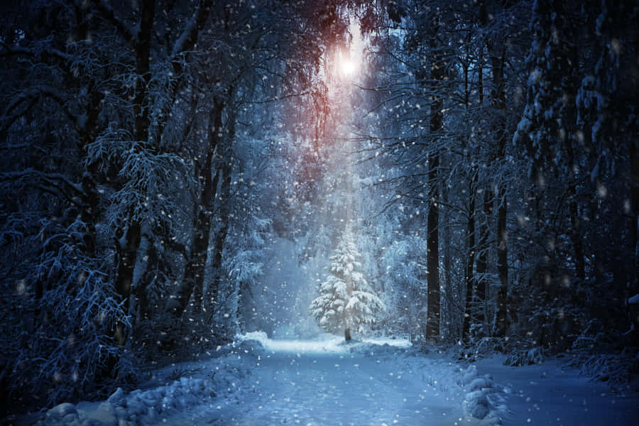 Enjoy The Beauty Of Winter With A Peaceful Sunset Wallpaper