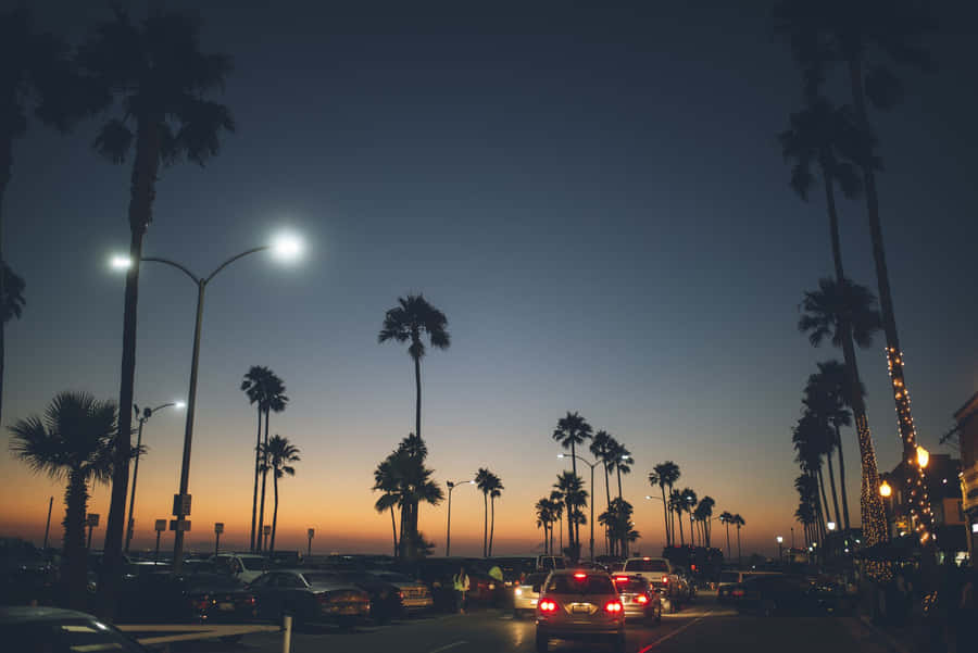 Enjoy The Best Of California's Summer Wallpaper