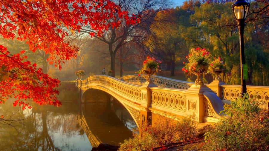 Enjoy The Golden Leaves Of New England Autumn Wallpaper
