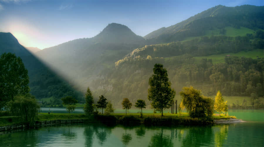 Enjoy The Morning Light Of A Sunny Beach Wallpaper