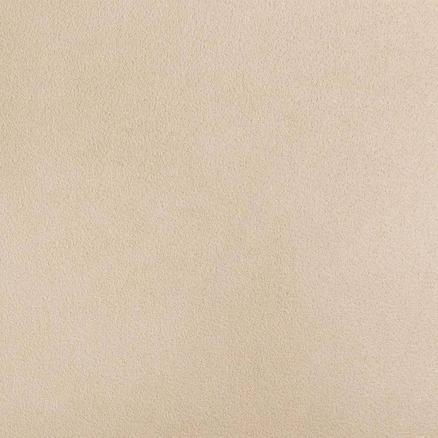 Enjoy The Natural Beauty Of Plain Wallpaper