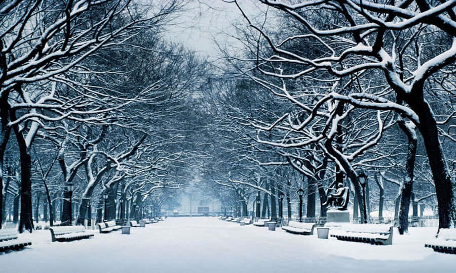 Enjoy The Seasons Wallpaper