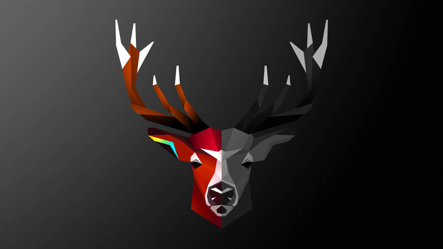 👉 Enjoy The Wild With Deer Iphone Wallpaper