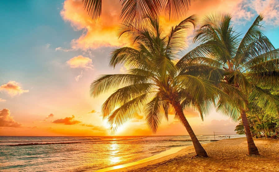 Enjoying A Beautiful Hawaiian Sunset Wallpaper