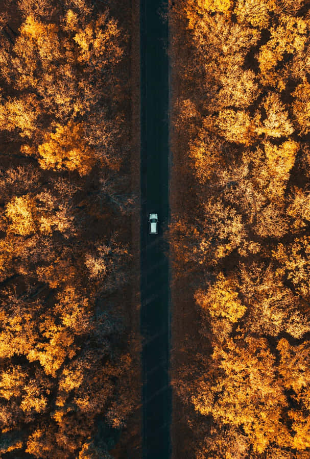 Enjoying An Early Fall Day Wallpaper