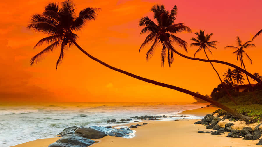 Enjoying The Breath-taking View Of The Beach And Sky From A Majestic Hill Wallpaper