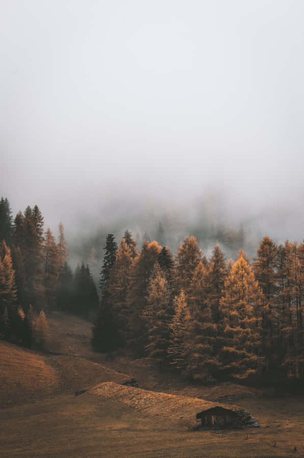 Enjoying The Cool Autumn Air In New England Wallpaper