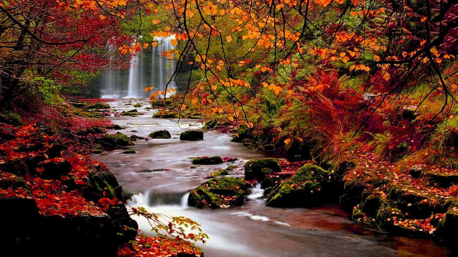 Enjoying The Tranquil Beauty Of A Vibrant Fall Foliage Wallpaper