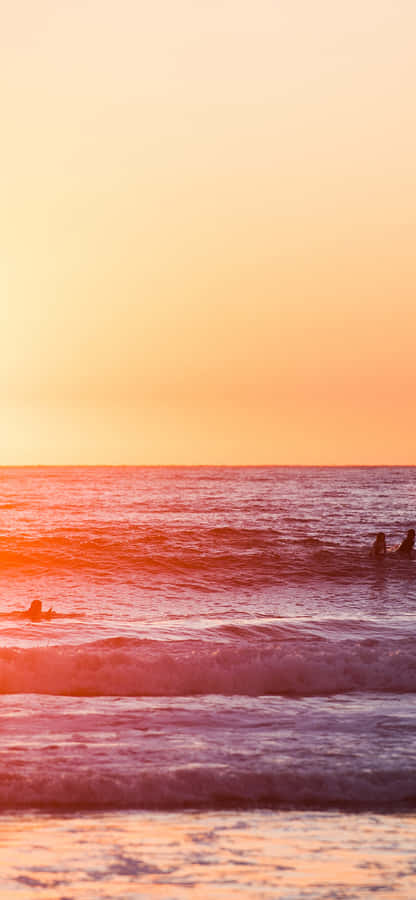 Enjoying The View Of The Sunset In California Summer! Wallpaper