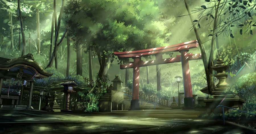 Enter The Mystical Anime Forest Wallpaper