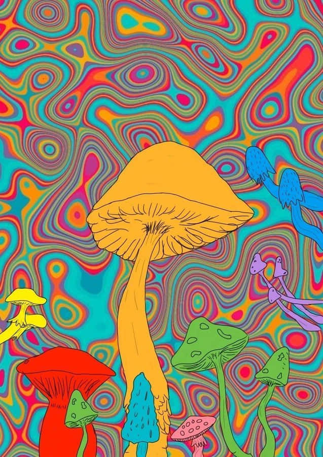 Explore A Different World With Trippy Mushroom