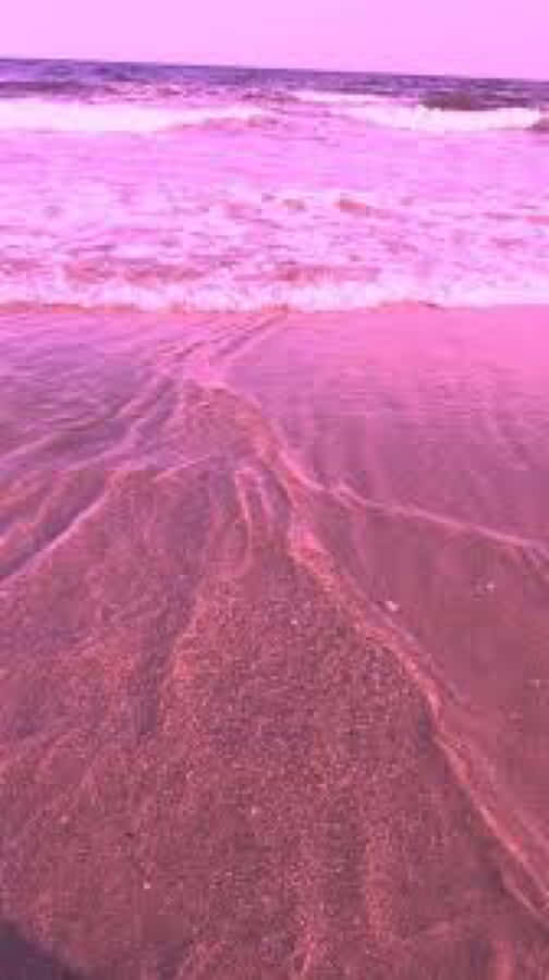 Explore Beauty And Tranquility At Pink Beach Wallpaper
