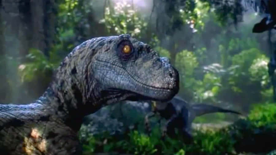 Explore The Beautiful World Of Blue Jurassic! Wallpaper