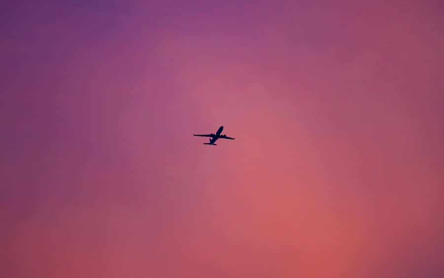 Explore The Wonders Of The Sky In A Pink Plane! Wallpaper